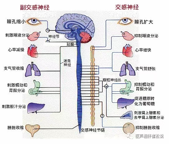 圖文圖片