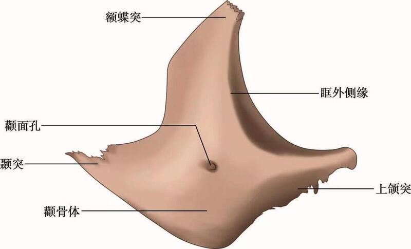 圖文圖片