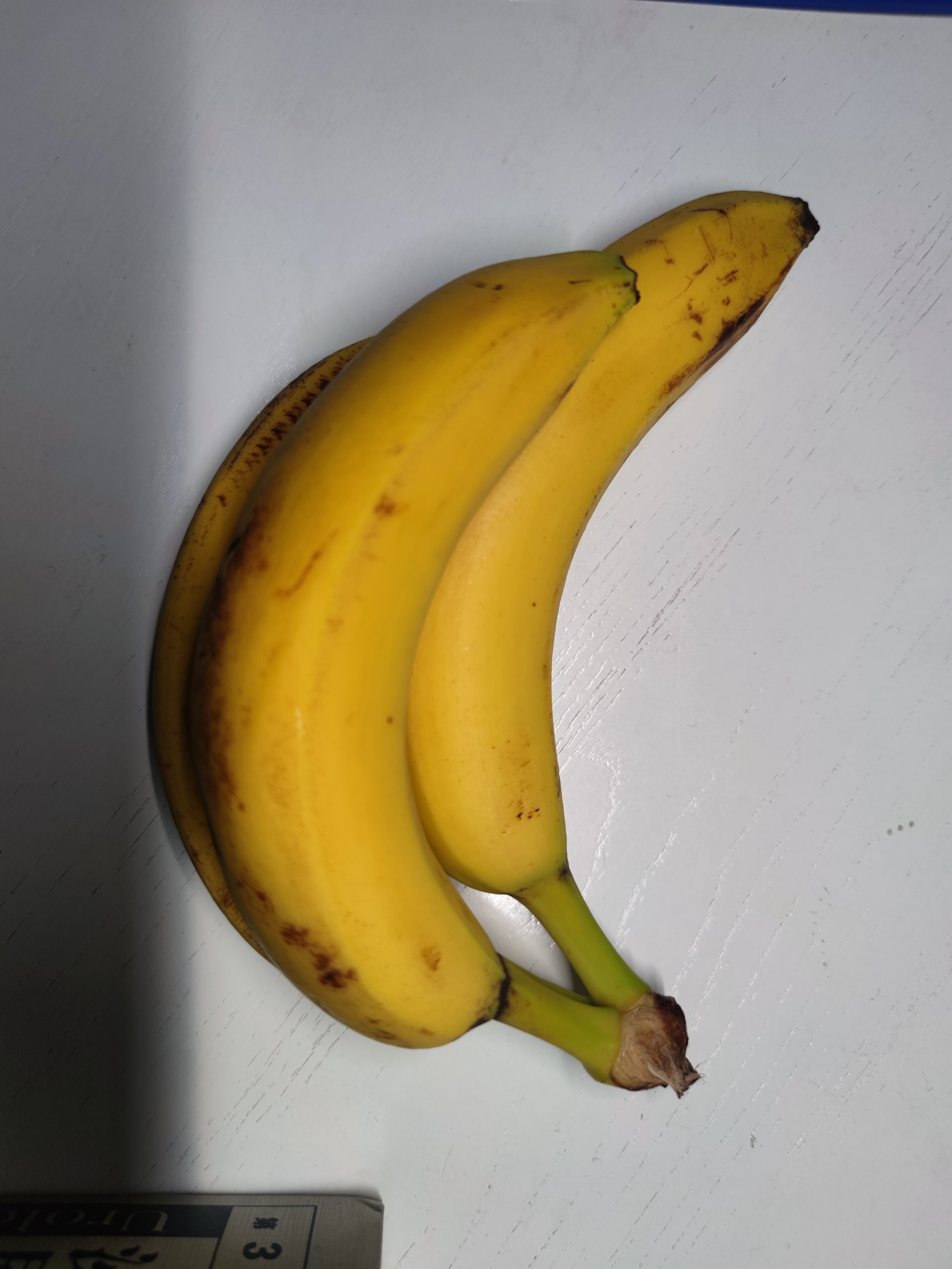 醫(yī)生頭像