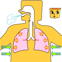 呼吸过度动图全程图片