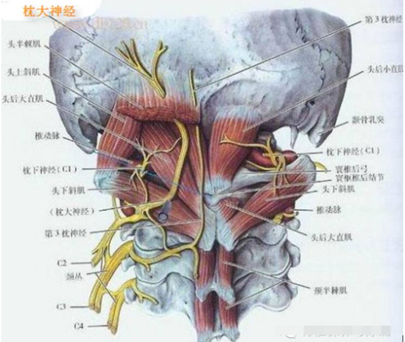 圖文圖片