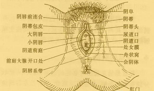 圖文圖片