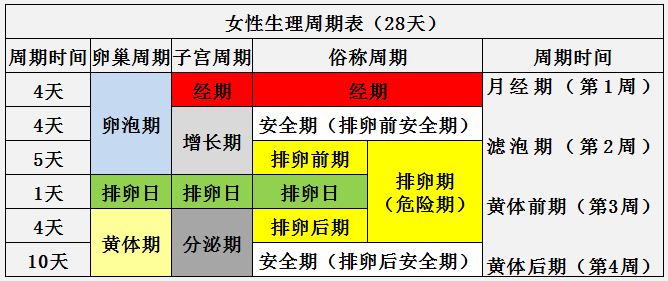 女性生理周期 png