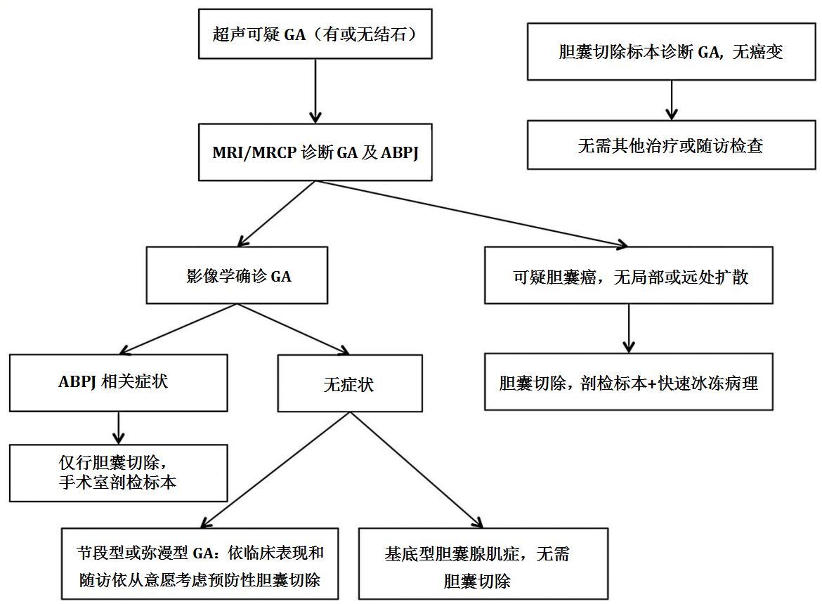 诊疗流程.JPG