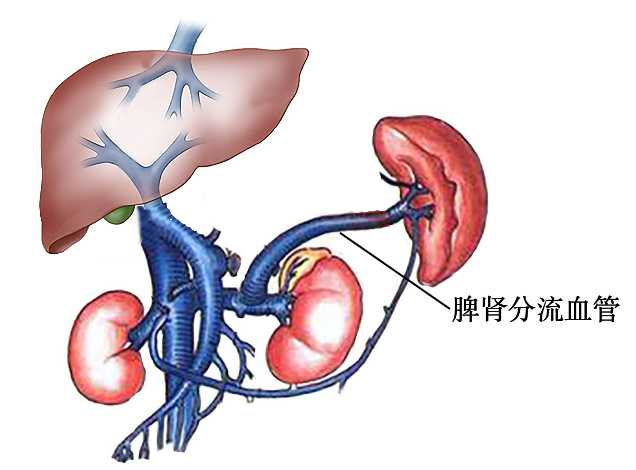 圖文圖片