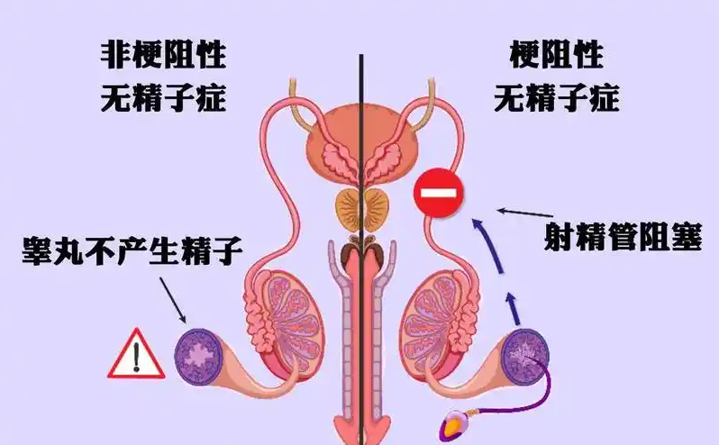 圖文圖片