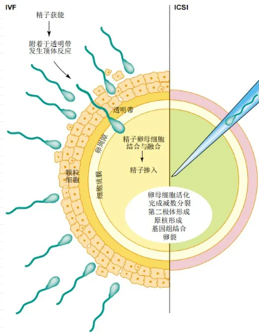 屏幕截图 2022-10-28 151305.png