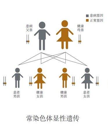 图文图片