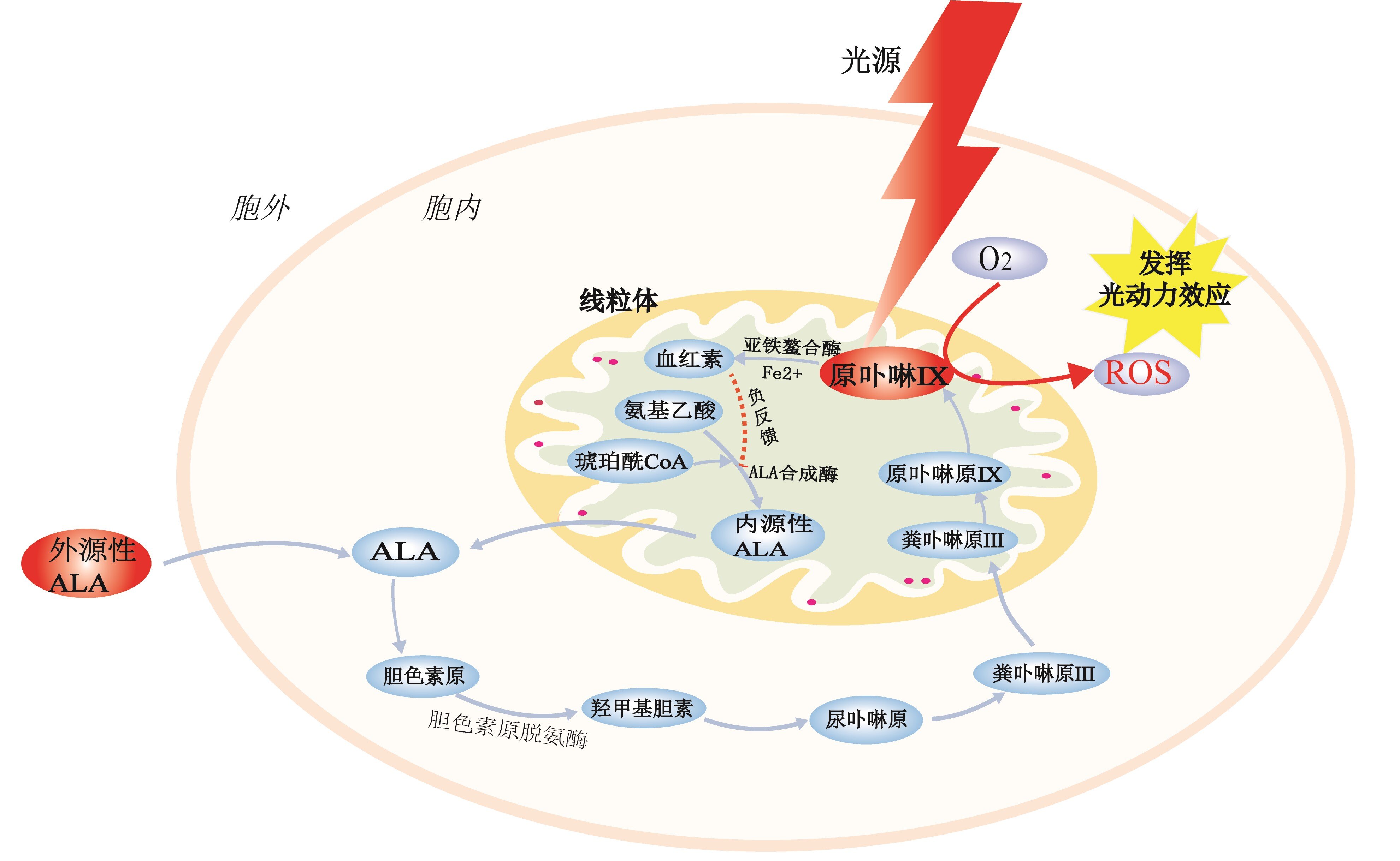 图文图片