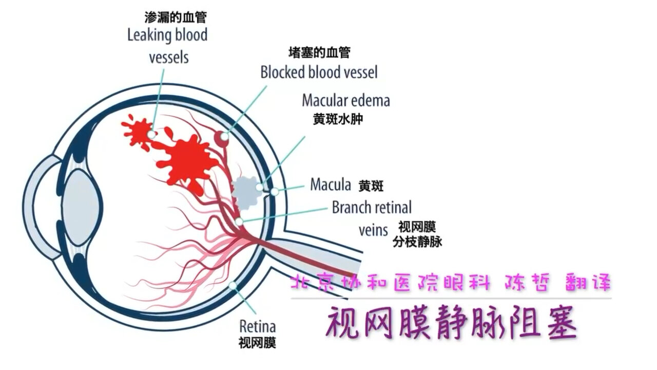 默认图片