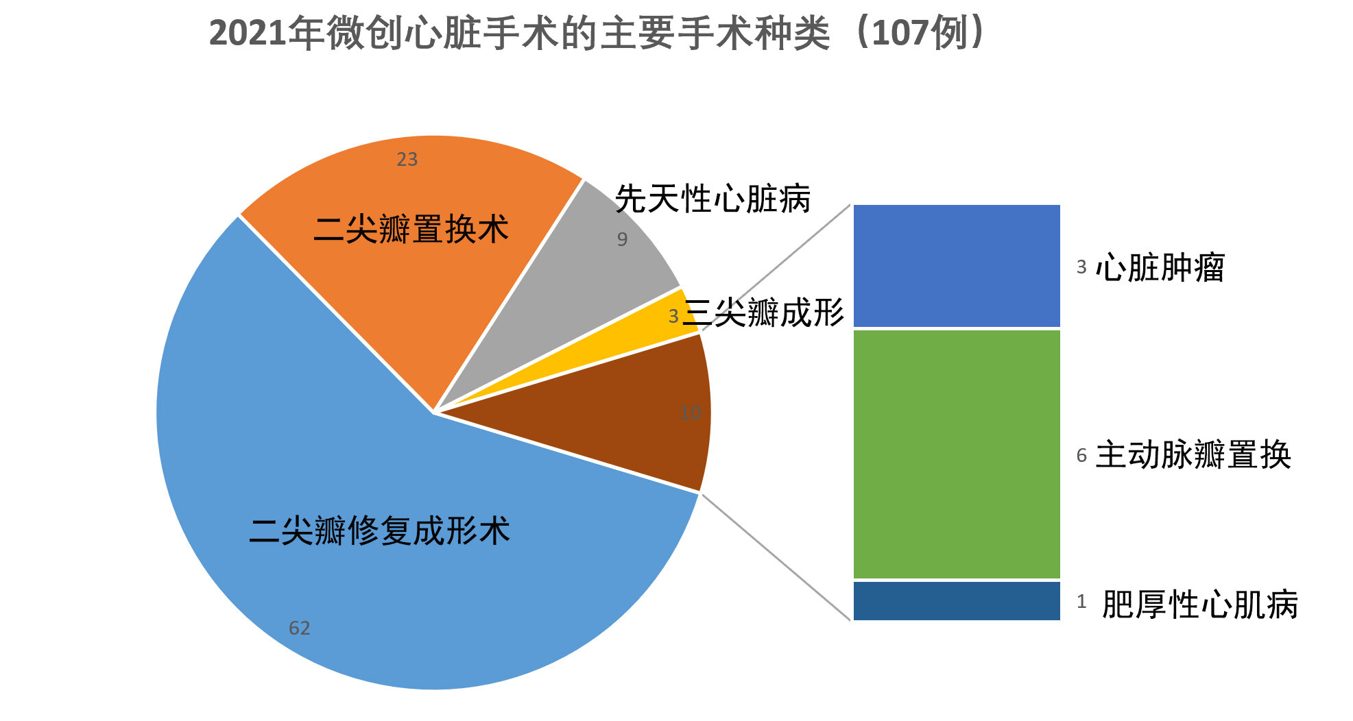 2021数据-微创种类.jpg