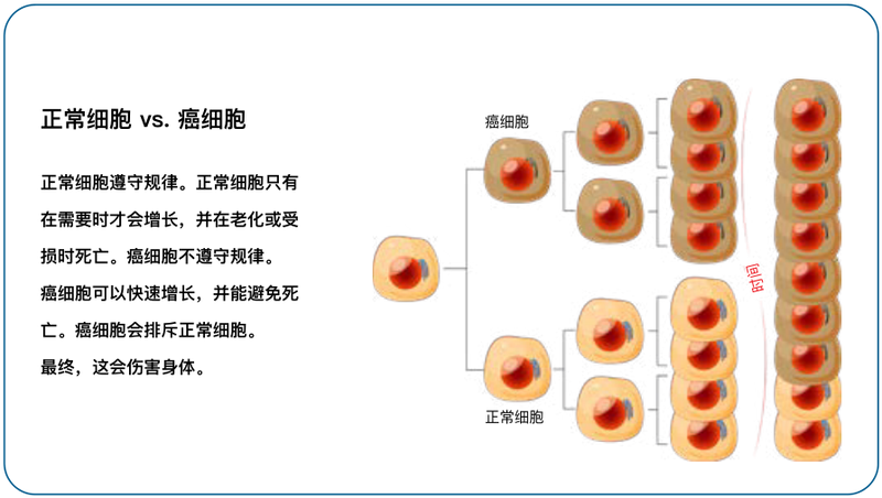 圖文圖片
