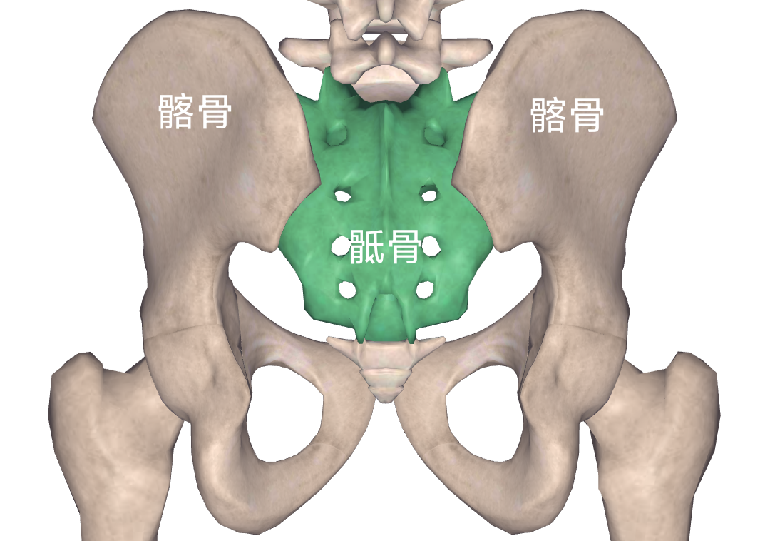 容易被误诊的腰痛——骶髂关节炎