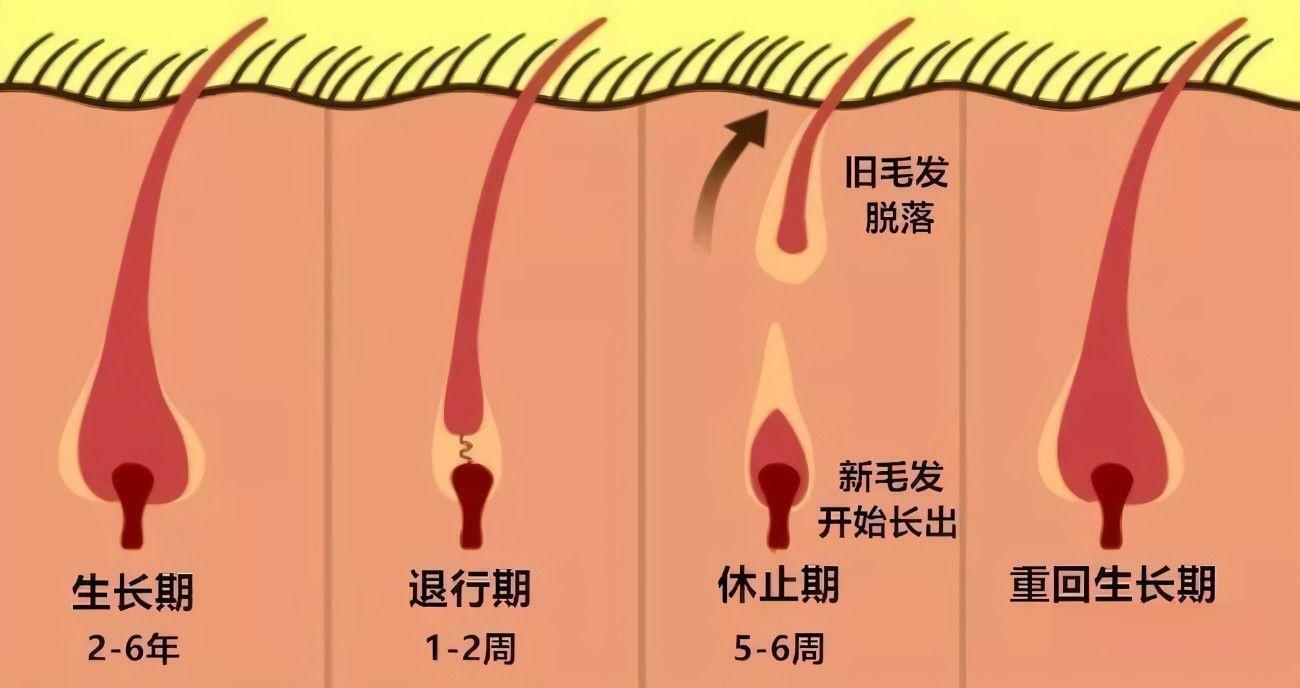 圖文圖片