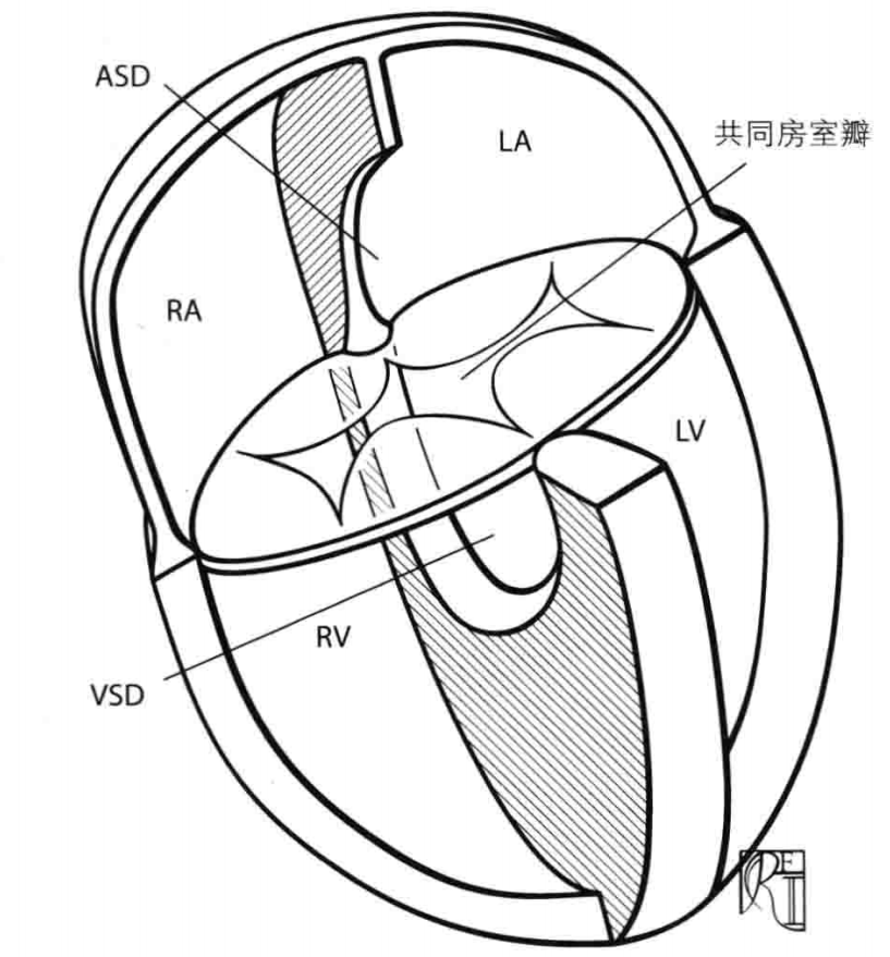 房缺 m.haodf.com