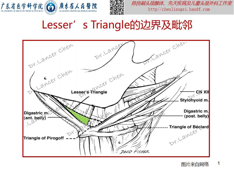 甲状舌管囊肿解剖位置图片