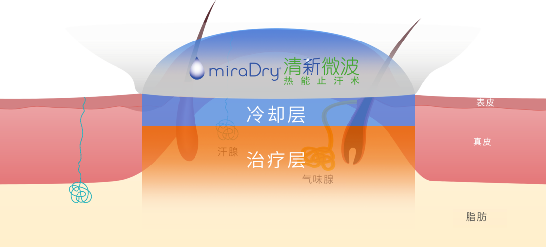 圖文圖片