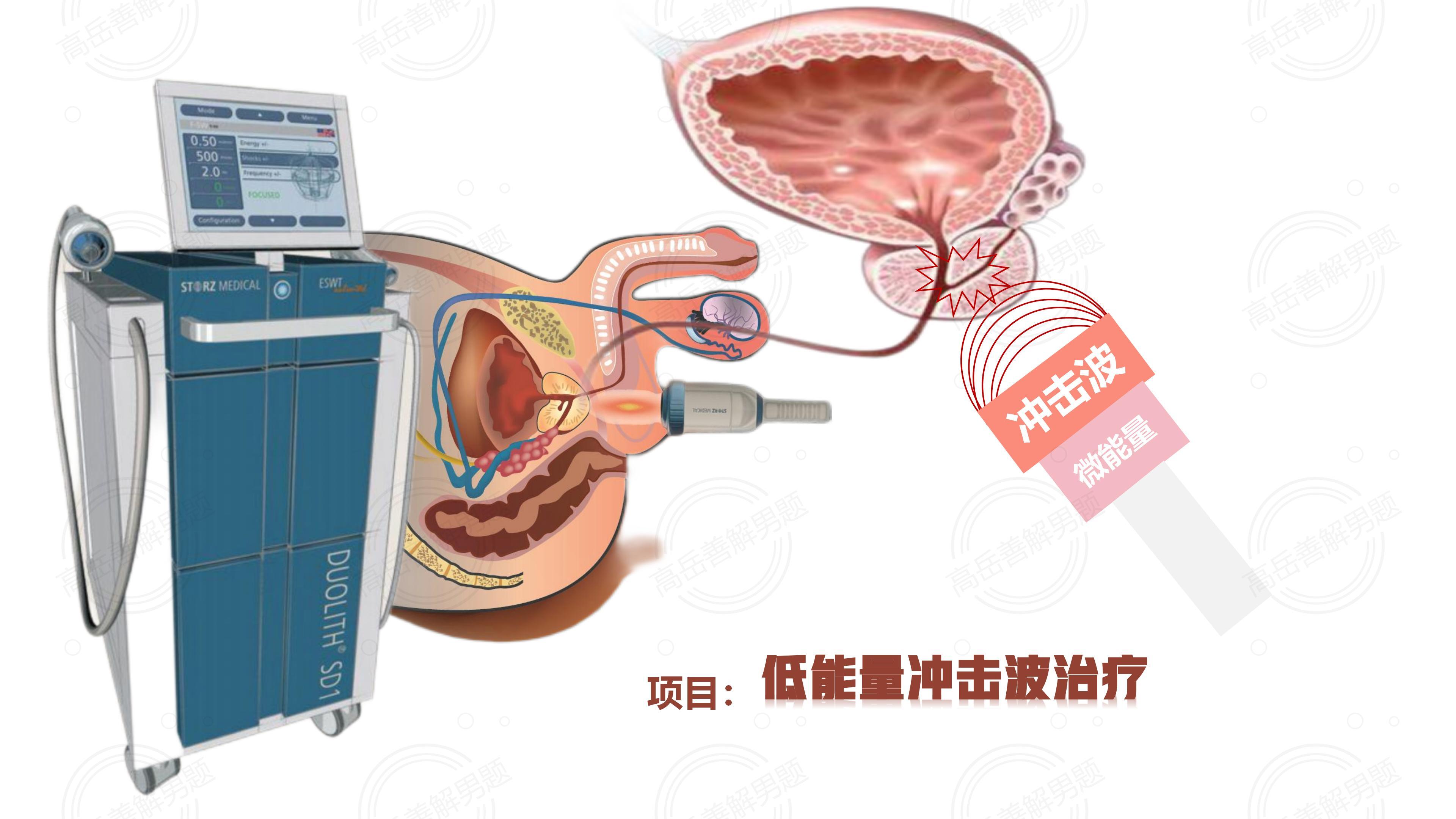 前列腺液细菌培养图片