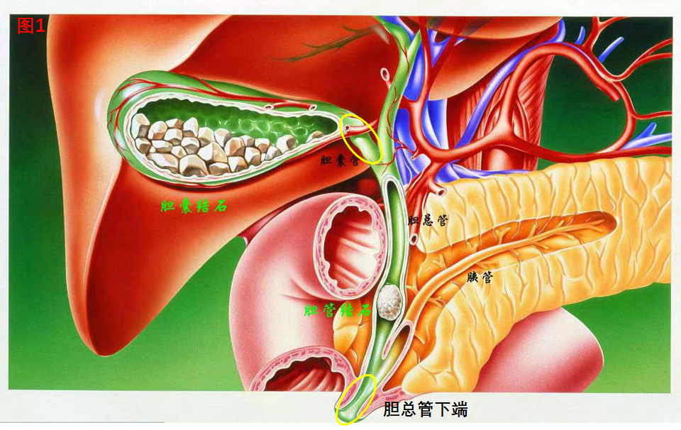 圖文圖片