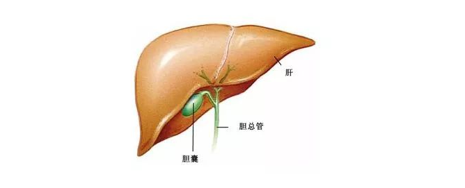 圖文圖片