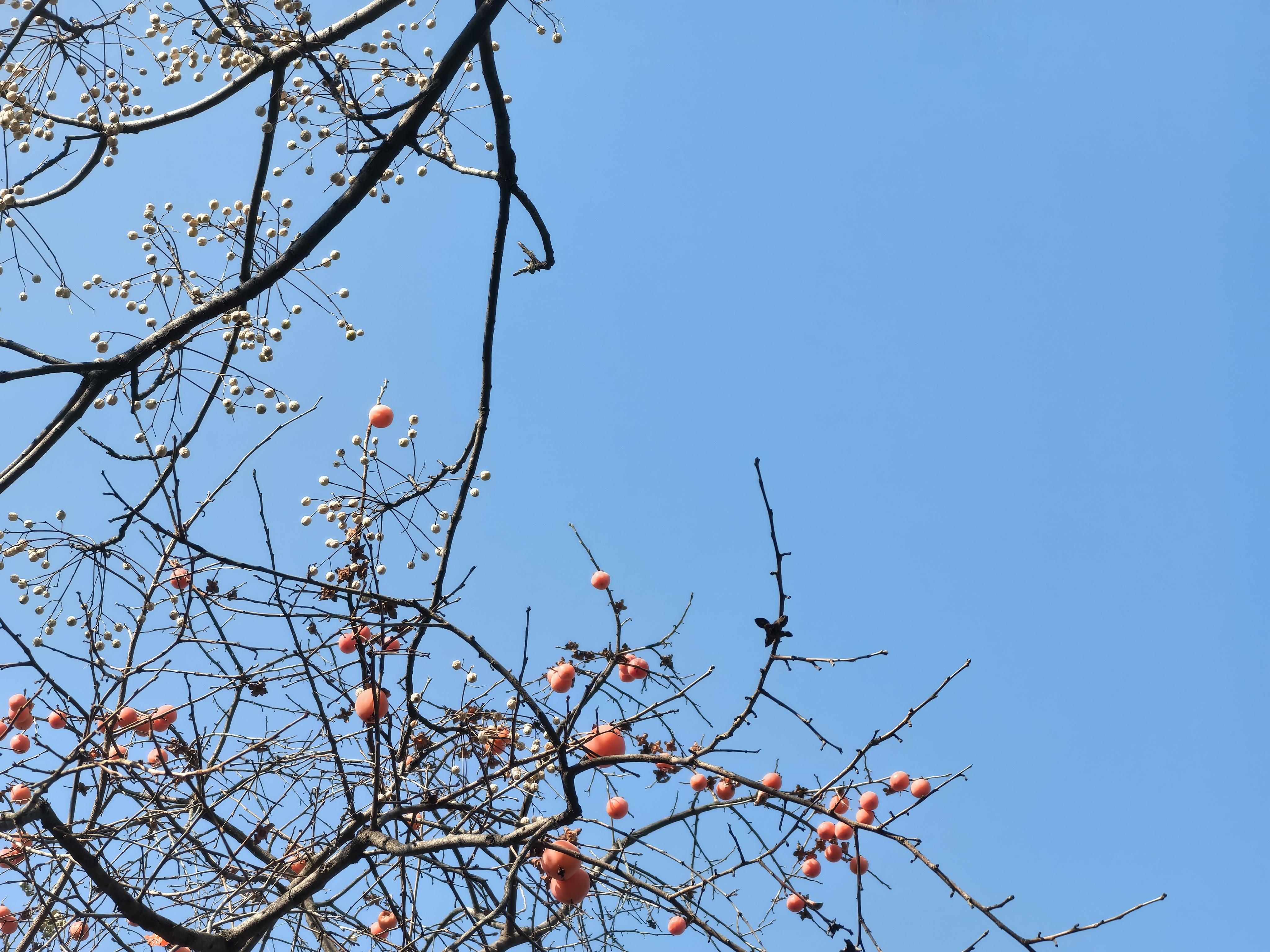 圖文圖片