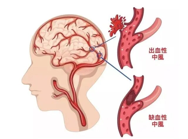 图文图片