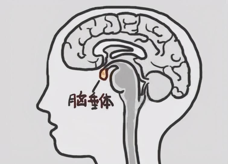 圖文圖片