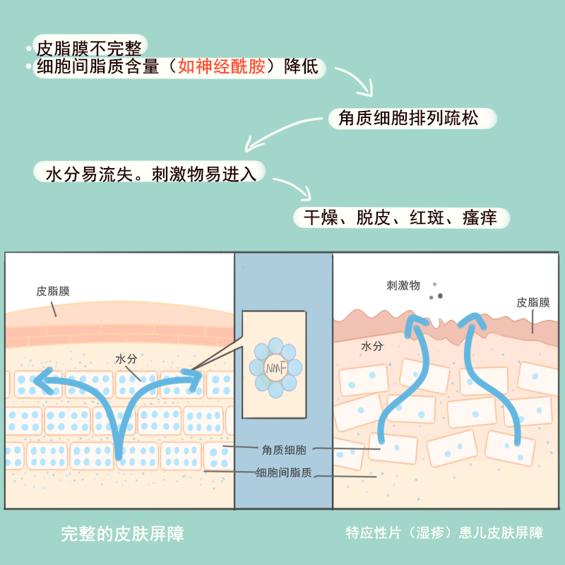 圖文圖片