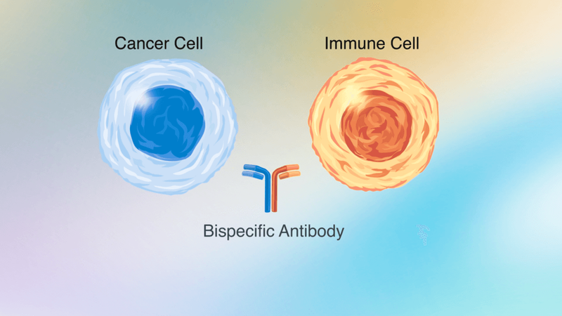 Bispecific-Antibodies-Animation-Version-4-Thumbnail-Color-Edit-1024x576.png