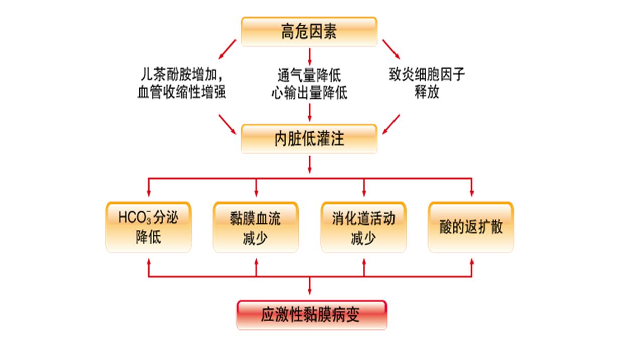 icu中应激性溃疡的阶梯治疗