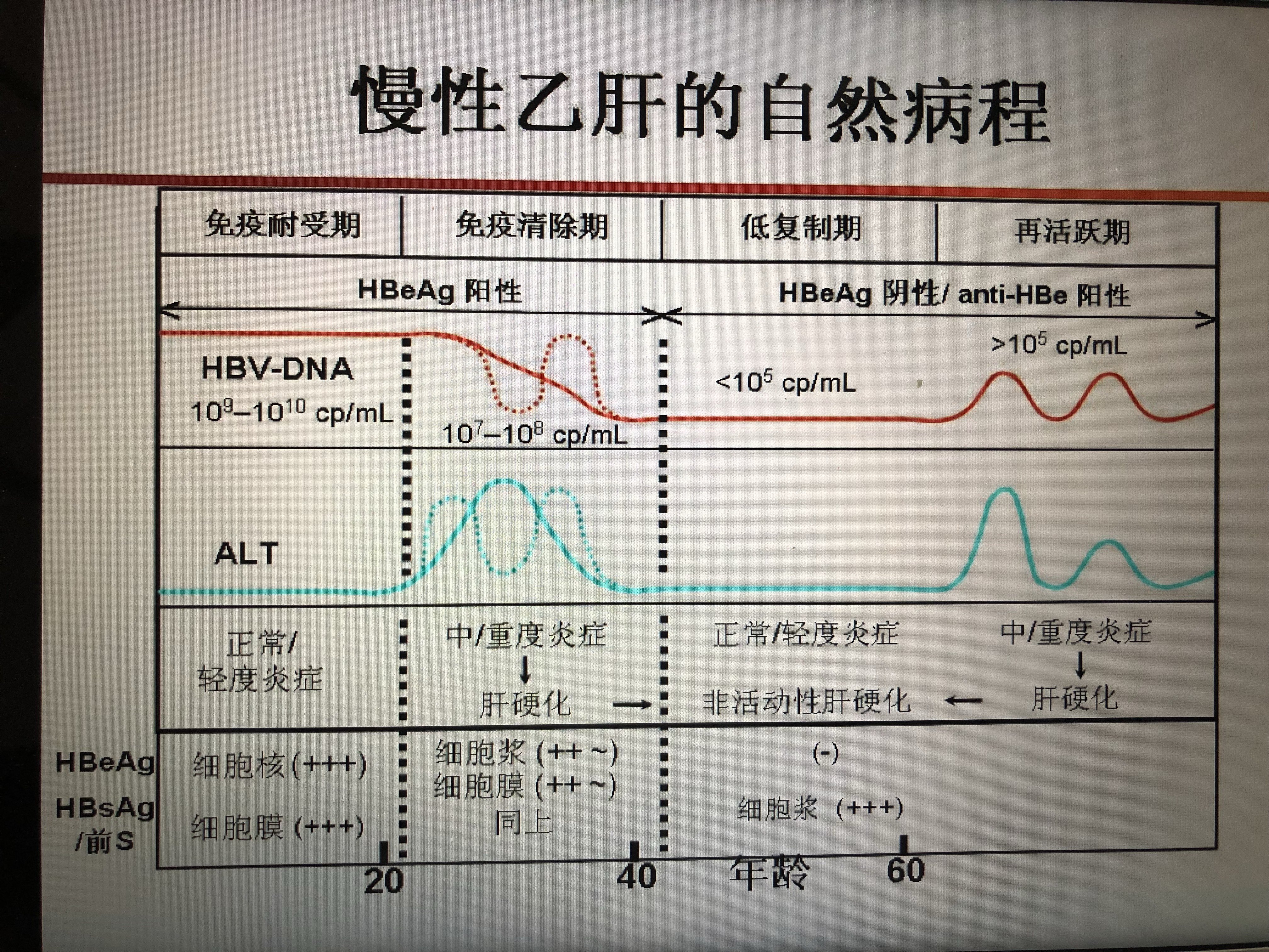 关于安定医院患者须知黄牛联系方式的信息