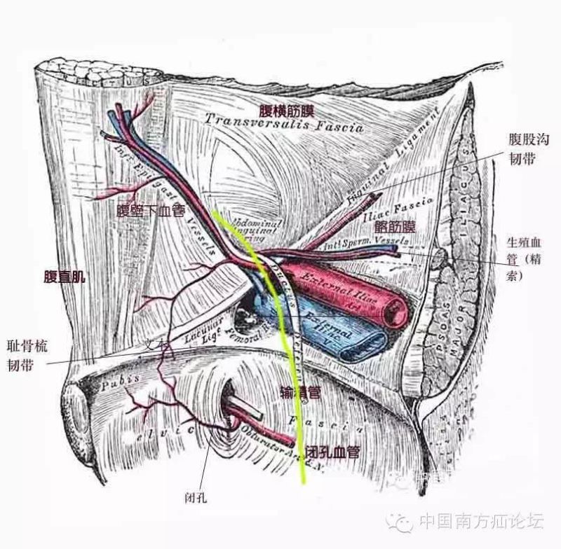 基础