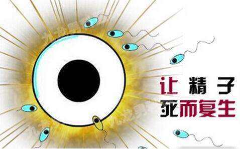关于"死精症"那点事儿 - 好大夫在线