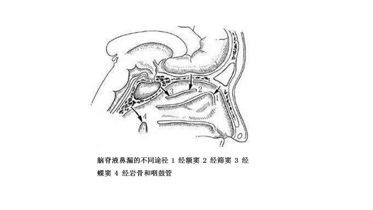 孙明20190105.jpg