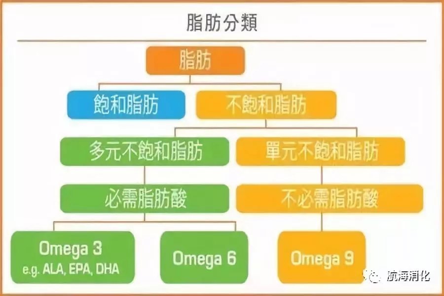 吃什么预防结肠息肉 yIYBAFyXfmaAK7GAAADeDsAMBM4146.jpg?_ms_=10a3