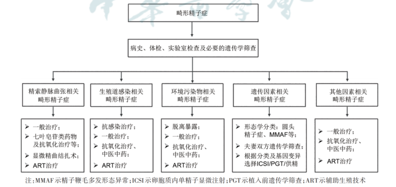 图文图片