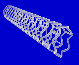 生物可降解支架成功病例