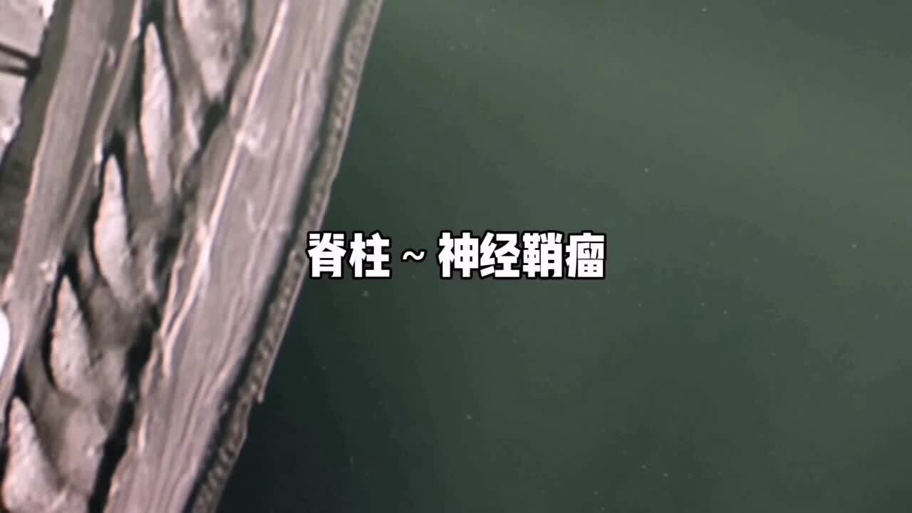 視頻封面
