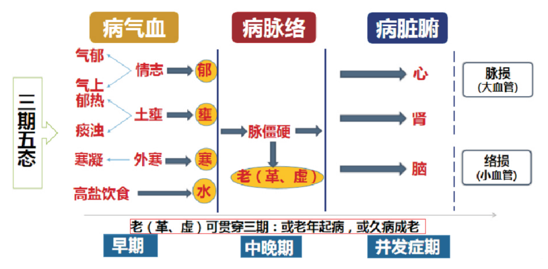 仝小林院士:中医治疗高血压病分三期五态 - 好大夫在线