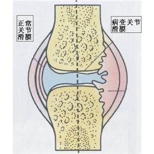 暂无