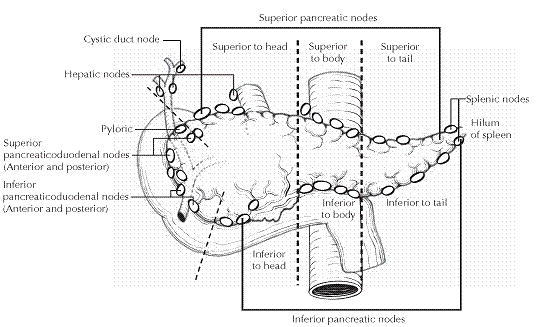 经十二指肠切口vater壶腹部肿瘤局部切除术