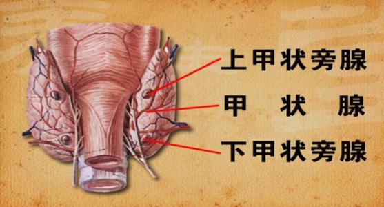 暂无