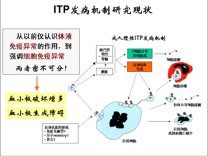 原發免疫性血小板減少症2016中國專家共識思考二