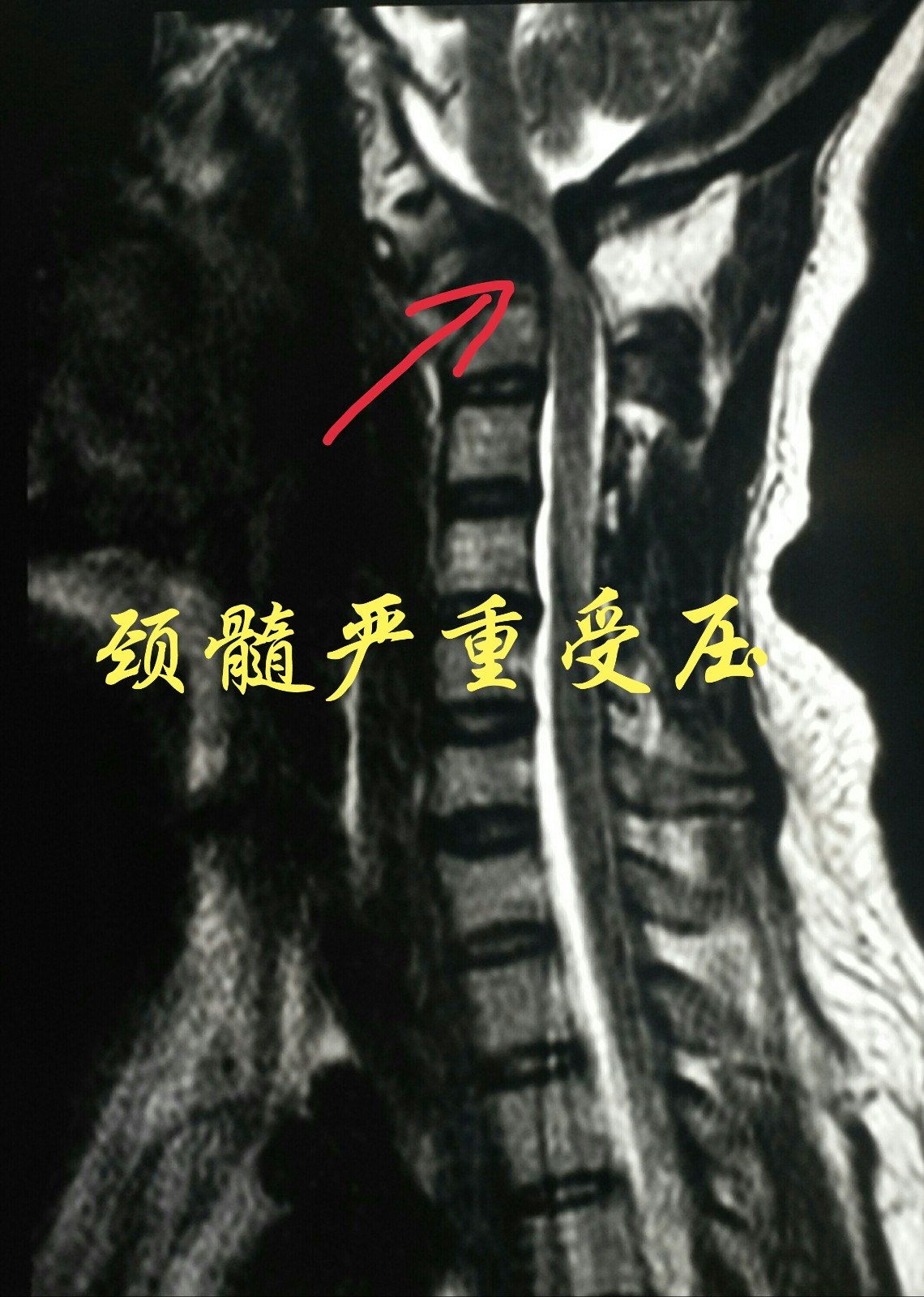 1540200618812014.jpg IMG_20181017_120701.JPG