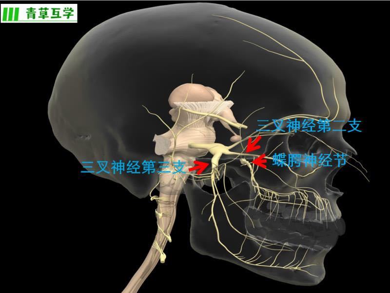 同仁医院预约助手流程引导-同仁医院网上怎么挂号预约公众平台 同仁医院预约助手流程引导-同仁医院网上怎么挂号预约公众平台