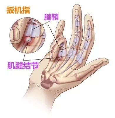 暂无