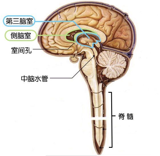 yYYBAF0ZdDaAZBw2AACWCJnr8SY154.jpg?_ms_=464b