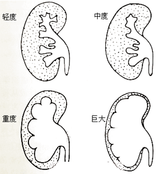 暂无