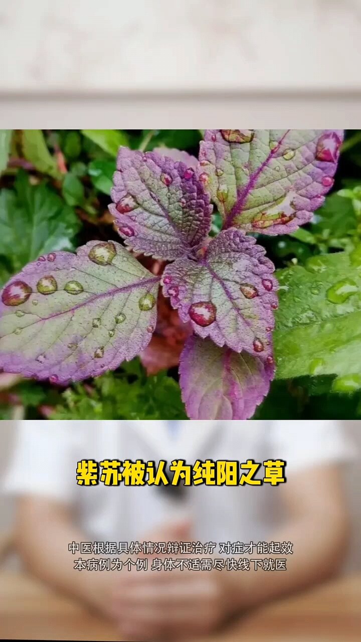 默认图片