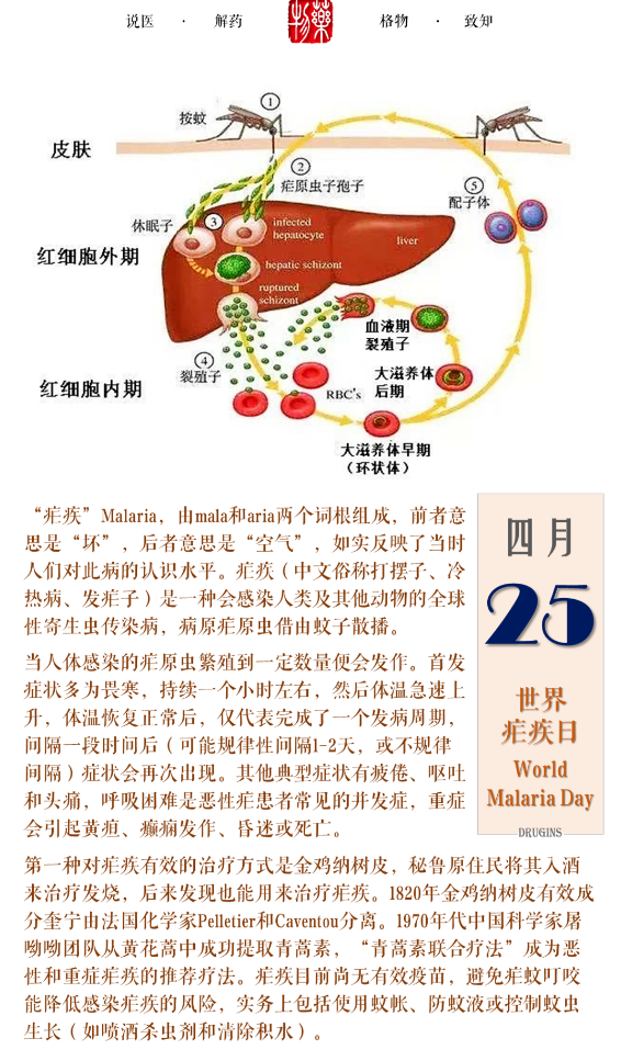 哪种蚊子传播疟疾_疟疾 - 好大夫在线